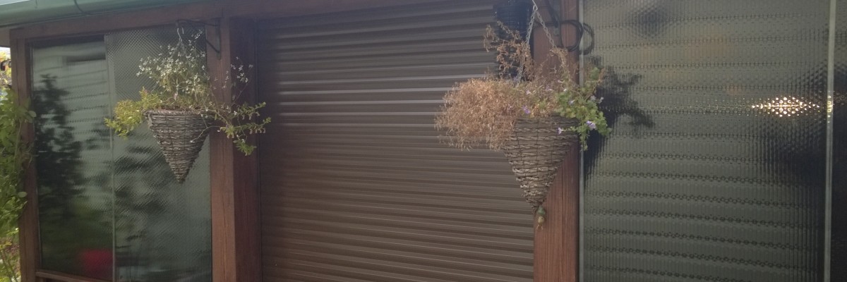 коричневые роллеты